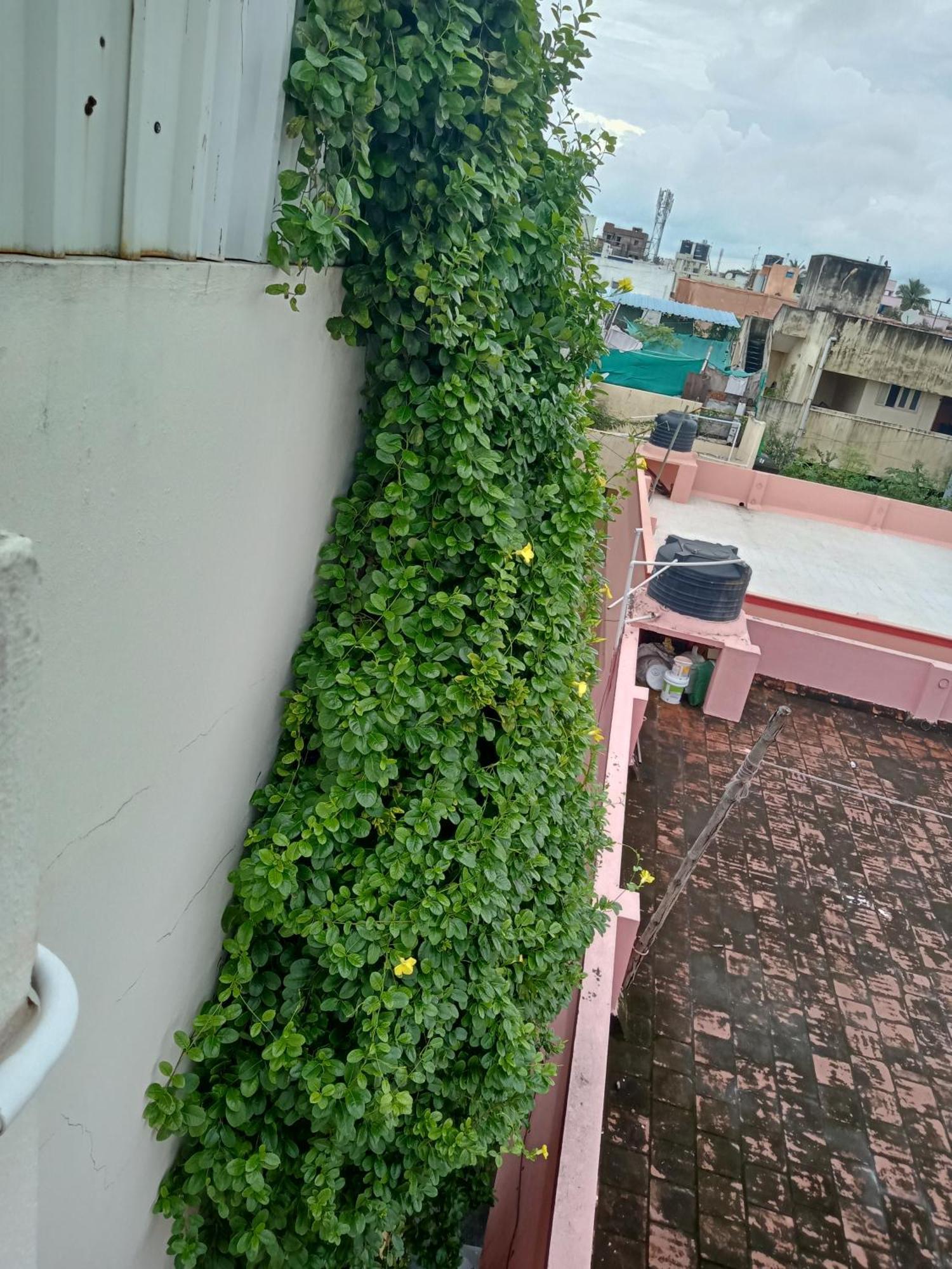 Allamanda Abode Aparthotel Madras Buitenkant foto